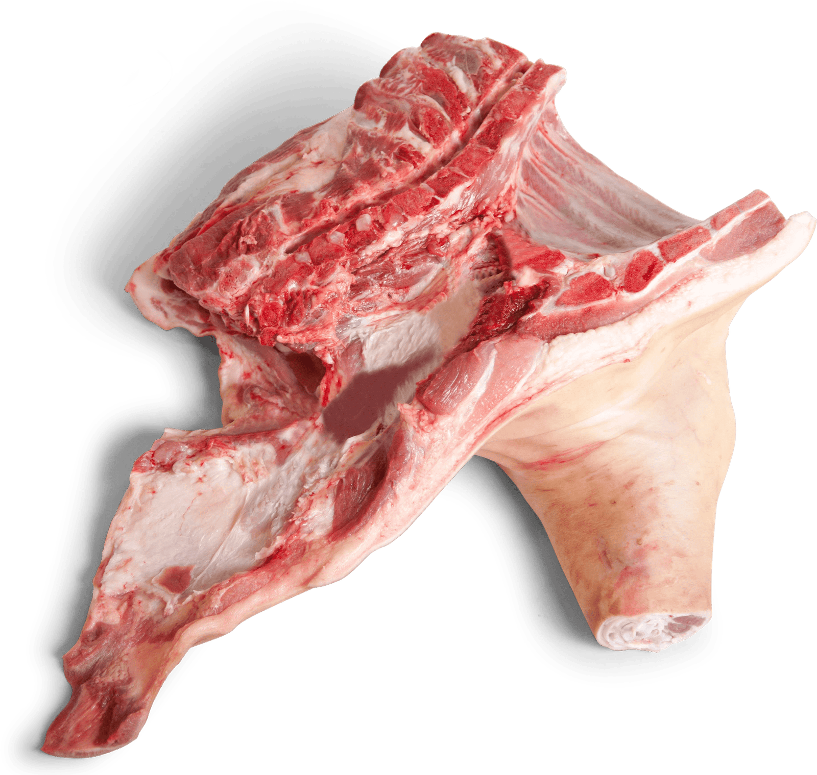 Frozen Pig Front with Cheek
