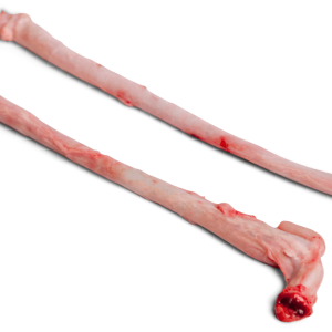 Quality Frozen Pork Penis